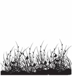 Wild flower garden vector image