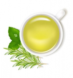 Herbal tea vector image