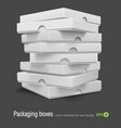 Pizza boxes vector image