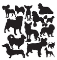 Decorative dogs vector image