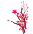 Wild flowers vector image