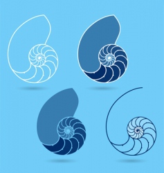 Nautilus shells Nautilus shells vector image