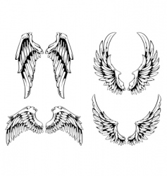 Wings for your vintage design vector image