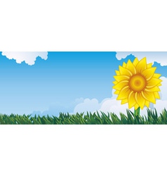 Summer background vector image