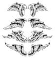 Wings for your vintage design vector image