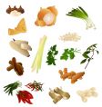 Thai herbs and spices vector image