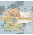 Design elements - Vintage Bird and Peony Set vector image