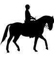Woman on horse vector image