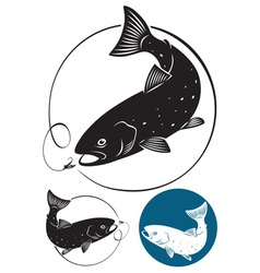 Trout fish vector image