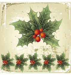 Christmas holly vector image