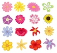 Flowers vector image