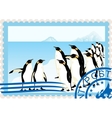 Postage stamp with penguins vector image