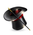 Magic cylinder hat vector image