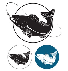 Walleye vector image