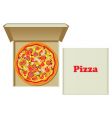 Pizza in box vector image