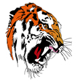 Tiger Art vector image