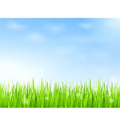 Green Grass and Blue Sky vector image