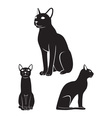 Egyptian cat vector image