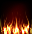 Realistic Fire vector image