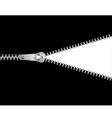 Open zipper vector image