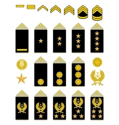Insignia of the Iranian Army vector image