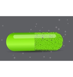 Herbal pill iconEnvironment background vector image