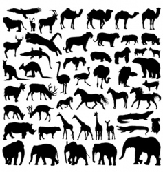 Animal silhouettes vector image