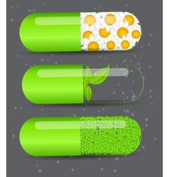 Herbal pill iconEnvironment background vector image