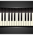 Piano key vector image