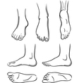 Feet vector image