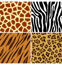 Animal print pattern vector image