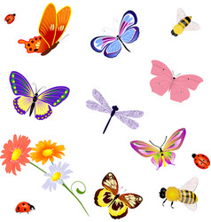 Butterfly insects bee ladybug vector image