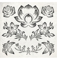 Floral design elements vector image
