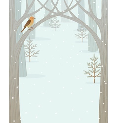 Winter forest background vector image