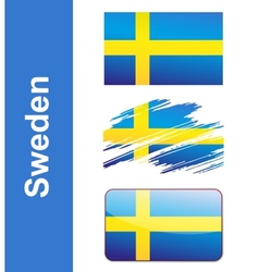 Flag Sweden vector image