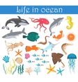 Set of cartoon sea animals fish Life in ocean vector image