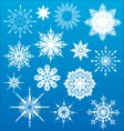 Snowflakes vector image