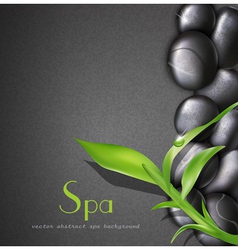 Background of a spa with stones vector image