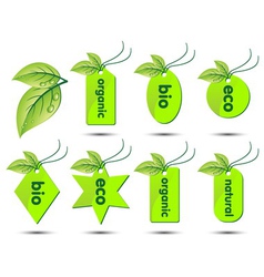 Collection of ecological stickers vector image