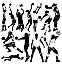 Volleyball vector image