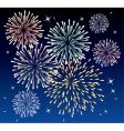 Fireworks vector image