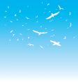 The birds vector image