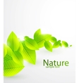 Abstract leaves background vector image