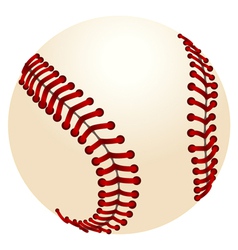 Baseball vector image