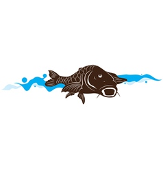 Carp fish vector image