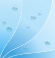 Water bubbles vector image