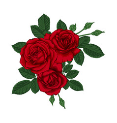 Beautiful bouquet with red roses and leaves vector image