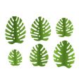 Leaf icons vector image