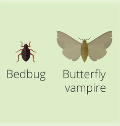 Colorful insects icons isolated wildlife wing vector image