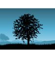 Sunset tree vector image